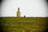 Enlarge photo 412