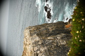 Enlarge photo 445