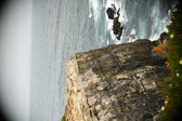 Enlarge photo 446