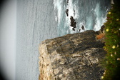 Enlarge photo 447