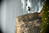Enlarge photo 448