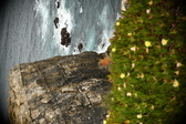 Enlarge photo 449