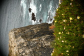 Enlarge photo 450