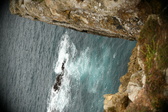 Enlarge photo 451