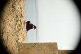 Enlarge photo 460