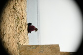 Enlarge photo 461