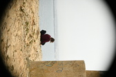 Enlarge photo 463