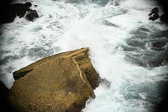 Enlarge photo 467