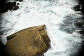 Enlarge photo 468