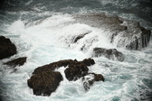 Enlarge photo 469