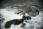 Enlarge photo 470