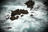 Enlarge photo 474