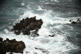 Enlarge photo 477