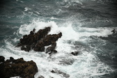 Enlarge photo 478