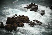 Enlarge photo 479