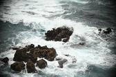 Enlarge photo 481