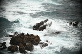 Enlarge photo 482