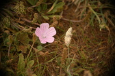 Enlarge photo 486