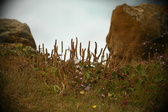 Enlarge photo 489