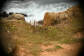 Enlarge photo 492