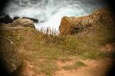 Enlarge photo 494