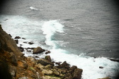 Enlarge photo 498