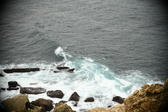 Enlarge photo 501