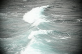 Enlarge photo 503