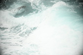 Enlarge photo 506