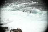 Enlarge photo 507