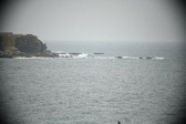 Enlarge photo 513