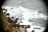 Enlarge photo 523