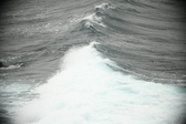Enlarge photo 528