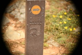 Enlarge photo 530