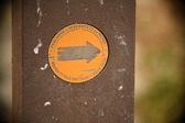 Enlarge photo 531