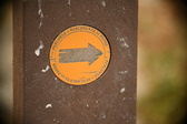 Enlarge photo 532