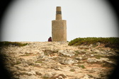 Enlarge photo 538