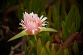 Enlarge photo 544