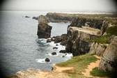 Enlarge photo 568