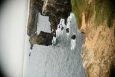 Enlarge photo 570