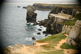Enlarge photo 571