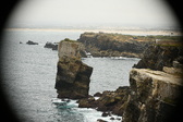 Enlarge photo 572