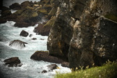 Enlarge photo 575