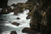Enlarge photo 578