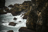 Enlarge photo 579