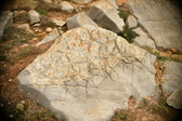 Enlarge photo 583