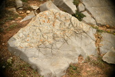 Enlarge photo 584