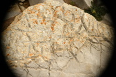 Enlarge photo 585