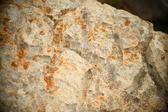 Enlarge photo 586