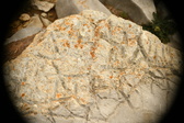 Enlarge photo 587